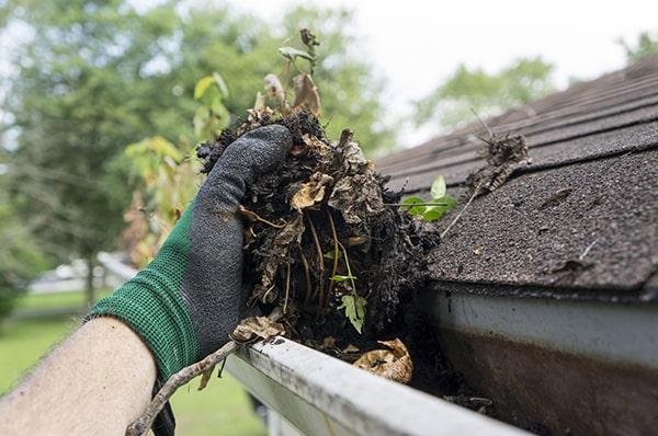 clogged gutters, water overflowing, and vegetation growth are clear signs that your gutters need cleaning